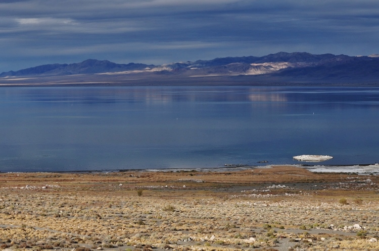 lake scene